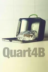 Poster do filme Quarta B