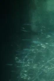 Notes of Forms movie poster