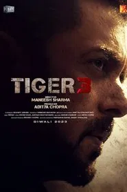 Tiger 3 movie poster
