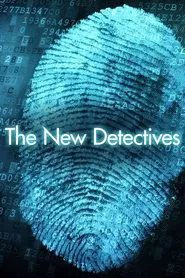 The New Detectives tv show poster