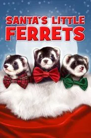 Santa's Little Ferrets movie poster