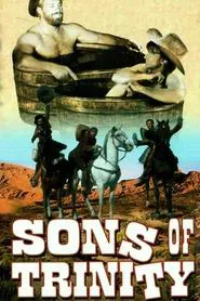 Poster do filme Sons of Trinity