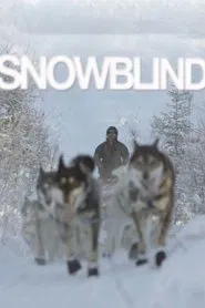 Poster do filme Snowblind