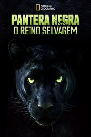 Poster do filme Pantera Negra: O Reino Selvagem