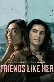Friends Like Her tv show poster