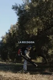 La Recogida movie poster