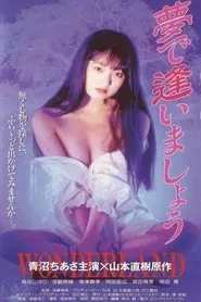 Poster do filme Meet Me in the Dream: Wonderland