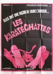 Les pornochattes movie poster