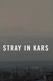 Stray in Kars movie poster