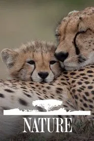 Nature tv show poster