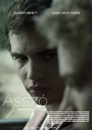 Poster do filme Assaut