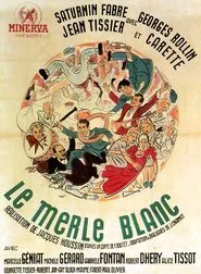 Poster do filme The White Blackbird