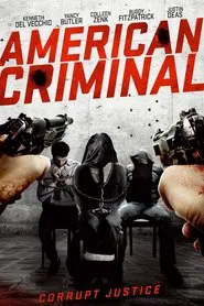 Poster do filme American Criminal