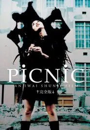 Picnic movie poster