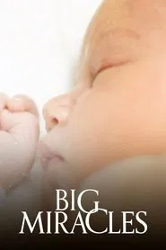 Big Miracles tv show poster