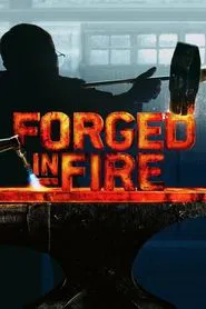Forged in Fire tv show poster