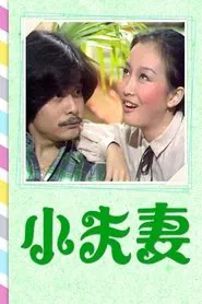 Husband, Wife & The Extra tv show poster