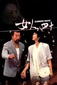 Poster do filme Neve de Verão