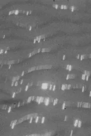 Lands Of The Sea movie poster