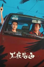 Poster da série Light to the Night