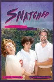 Snatched movie poster