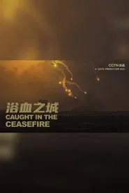 Caught in the ceasefire movie poster
