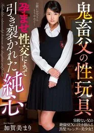Papa's A Pervert! And He Loves His Sex Toys! An Innocent Heart, Torn Apart By Pregnancy Fetish Lust Mari Kagami movie poster