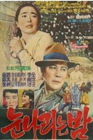 The Snow Falling Night movie poster