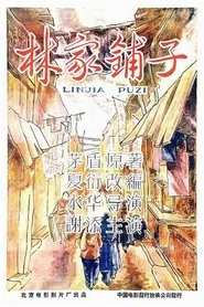 The Lin Family Shop movie poster