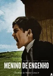 Poster do filme Plantation Boy