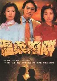 温柔陷阱 tv show poster