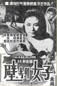 A Woman in the Wall movie poster