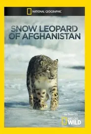 Snow Leopard of Afghanistan movie poster