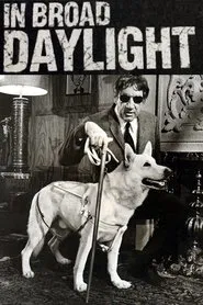 In Broad Daylight movie poster