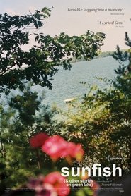 Poster do filme Sunfish (& Other Stories on Green Lake)