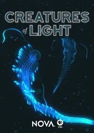 Creatures of Light movie poster