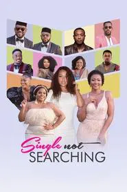 Single Not Searching movie poster