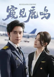 窥见鹿鸣 tv show poster