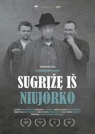 Back from New York movie poster