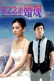 第二十二条婚规 tv show poster