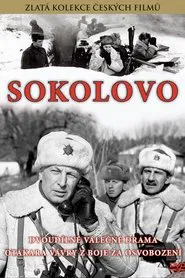 Poster do filme Sokolovo