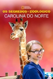 Poster da série Os Segredos do Zoológico: Carolina do Norte