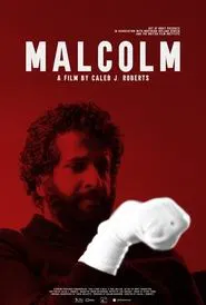 Poster do filme Malcolm