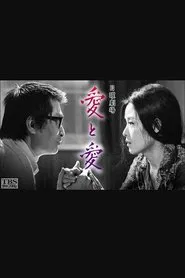 日曜劇場「愛と愛」 tv show poster