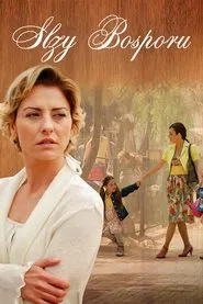 Elveda Derken tv show poster