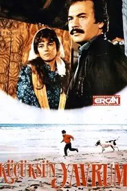 Küçüksün Yavrum movie poster