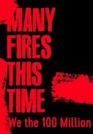 Many Fires This Time: We the 100 Million movie poster