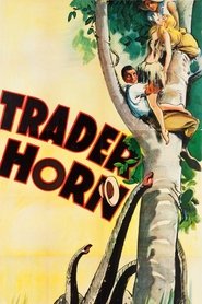 Poster do filme Mercador das Selvas