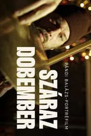 Száraz dobember - Pándi Balázs portréfilm [Még senkinek sem omlott össze az élete attól, hogy leállt] movie poster