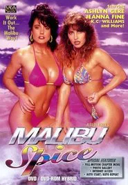 Malibu Spice movie poster